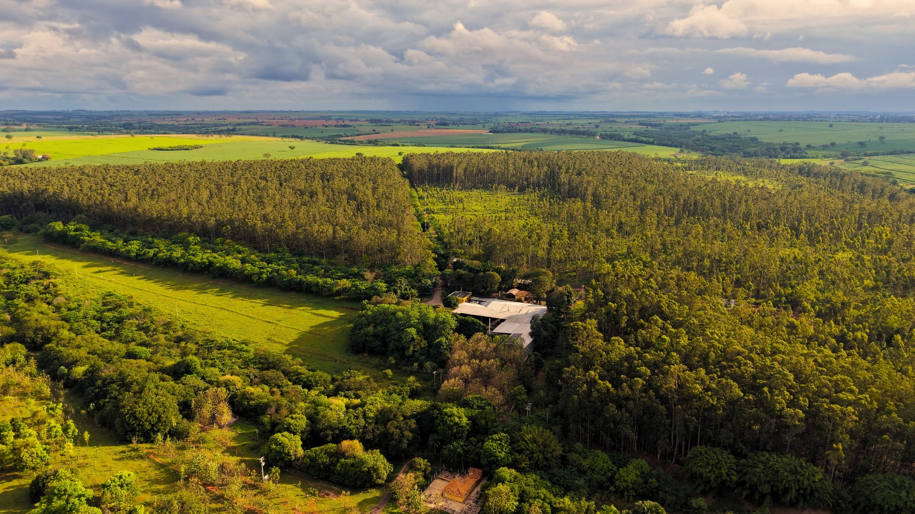 Vista panorâmica da fábrica em meio ao reflorestamento